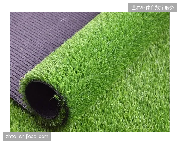 决赛场地已确定,其草坪质量和比赛日天气状况将成为影响双方发挥的潜在因素 决赛场地已确定,其草坪质量和比赛日天气状况将成为影响双方发挥的潜在因素